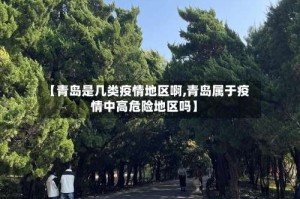 【青岛是几类疫情地区啊,青岛属于疫情中高危险地区吗】