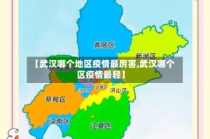 【武汉哪个地区疫情最厉害,武汉哪个区疫情最轻】