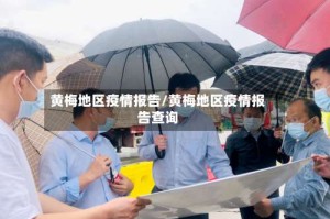 黄梅地区疫情报告/黄梅地区疫情报告查询
