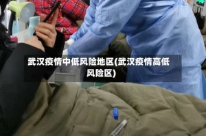 武汉疫情中低风险地区(武汉疫情高低风险区)