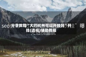 分享教程“大巴杭州可以开挂吗”开挂(透视)辅助教程
