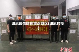 印尼疫情防控重点地区(印尼的疫)