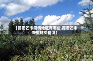 【德宏芒市疫情地区有哪些,德宏芒市新型肺炎情况】