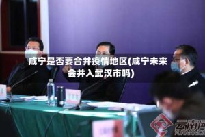 咸宁是否要合并疫情地区(咸宁未来会并入武汉市吗)