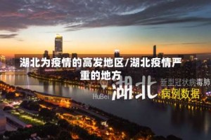 湖北为疫情的高发地区/湖北疫情严重的地方