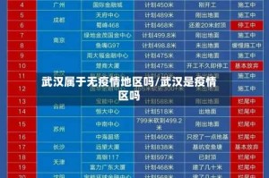 武汉属于无疫情地区吗/武汉是疫情区吗