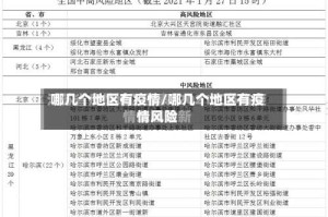 哪几个地区有疫情/哪几个地区有疫情风险