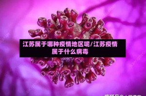 江苏属于哪种疫情地区呢/江苏疫情属于什么病毒