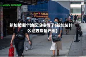 新加坡哪个地区没疫情了(新加坡什么地方疫情严重)