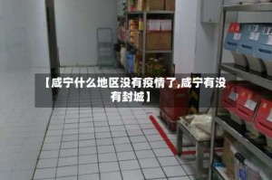 【咸宁什么地区没有疫情了,咸宁有没有封城】