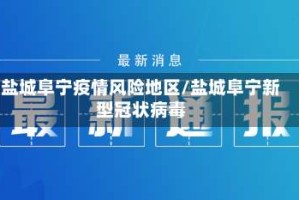 盐城阜宁疫情风险地区/盐城阜宁新型冠状病毒