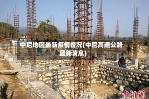 中尼地区最新疫情情况(中尼高速公路最新消息)
