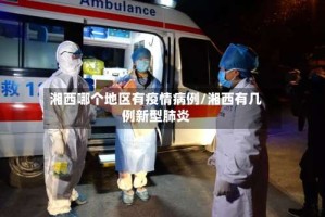 湘西哪个地区有疫情病例/湘西有几例新型肺炎