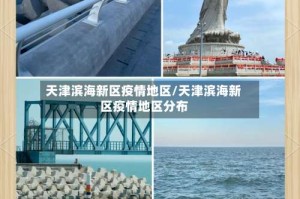天津滨海新区疫情地区/天津滨海新区疫情地区分布