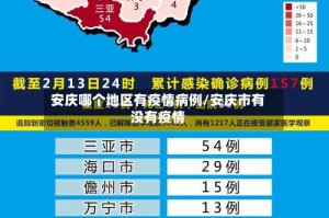 安庆哪个地区有疫情病例/安庆市有没有疫情