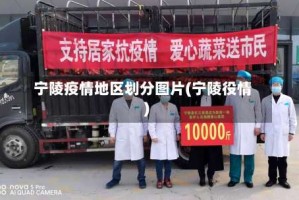 宁陵疫情地区划分图片(宁陵役情)