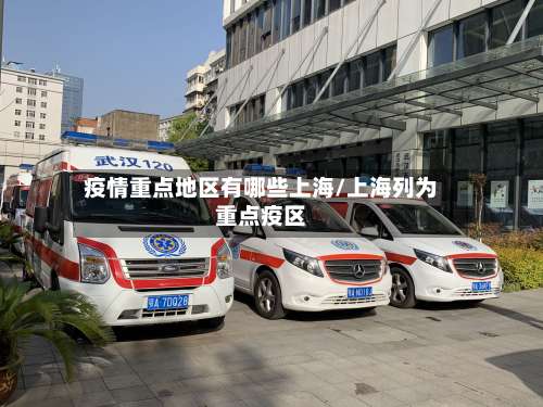 疫情重点地区有哪些上海/上海列为重点疫区-第2张图片