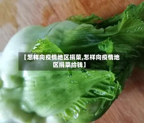 【怎样向疫情地区捐菜,怎样向疫情地区捐菜给钱】-第1张图片