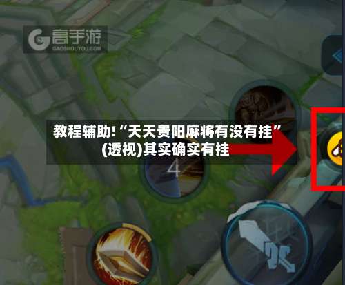 教程辅助!“天天贵阳麻将有没有挂	”(透视)其实确实有挂-第2张图片