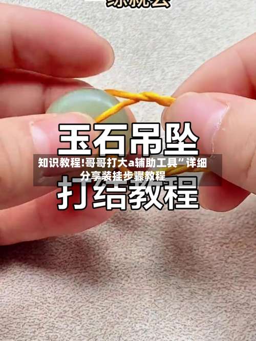 知识教程!哥哥打大a辅助工具	”详细分享装挂步骤教程-第1张图片