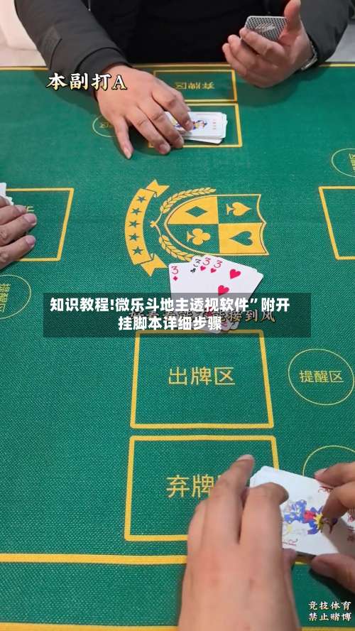 知识教程!微乐斗地主透视软件”附开挂脚本详细步骤-第2张图片