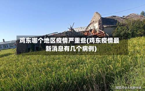 鸡东哪个地区疫情严重些(鸡东疫情最新消息有几个病例)-第1张图片
