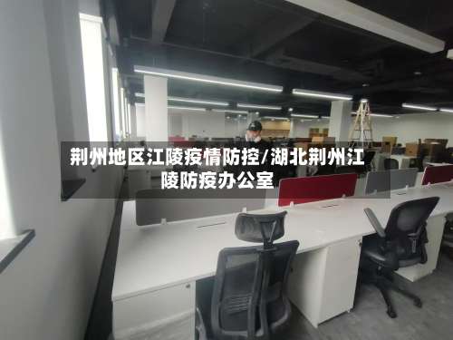 荆州地区江陵疫情防控/湖北荆州江陵防疫办公室-第2张图片
