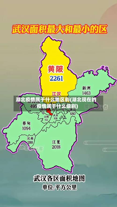 湖北疫情属于什么地区别(湖北现在的疫情属于什么级别)-第3张图片