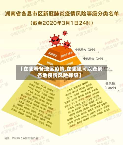 【在哪看各地区疫情,在哪里可以查到各地疫情风险等级】-第2张图片