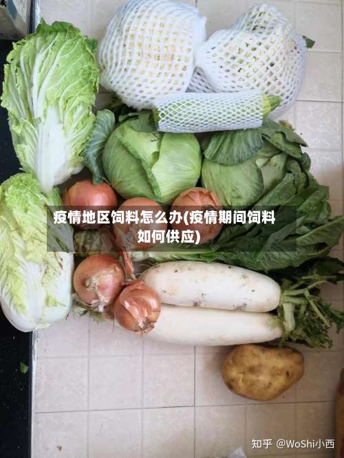 疫情地区饲料怎么办(疫情期间饲料如何供应)-第3张图片