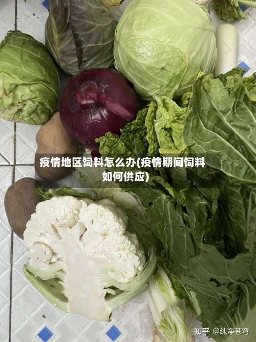 疫情地区饲料怎么办(疫情期间饲料如何供应)-第1张图片
