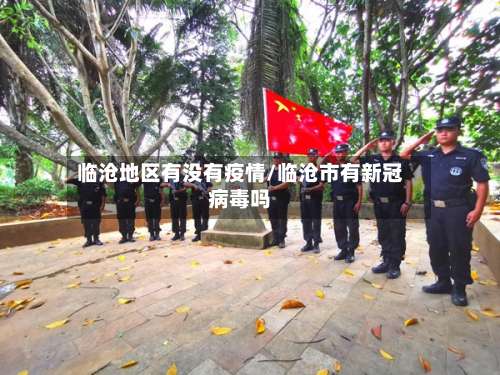临沧地区有没有疫情/临沧市有新冠病毒吗-第3张图片
