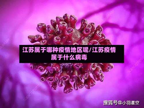 江苏属于哪种疫情地区呢/江苏疫情属于什么病毒-第1张图片