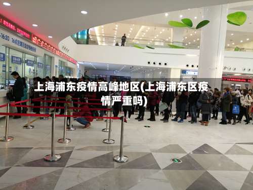 上海浦东疫情高峰地区(上海浦东区疫情严重吗)-第2张图片