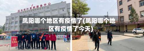 凤阳哪个地区有疫情了(凤阳哪个地区有疫情了今天)-第2张图片