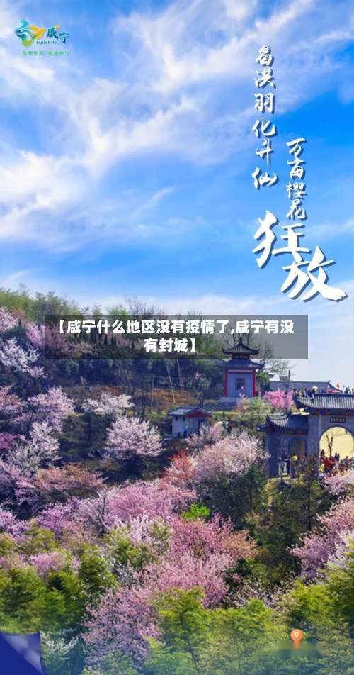 【咸宁什么地区没有疫情了,咸宁有没有封城】-第2张图片