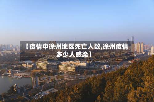【疫情中徐州地区死亡人数,徐州疫情多少人感染】-第1张图片