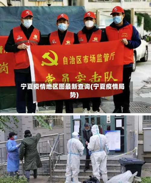 宁夏疫情地区图最新查询(宁夏疫情局势)-第2张图片