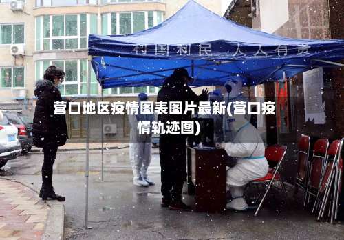 营口地区疫情图表图片最新(营口疫情轨迹图)-第2张图片