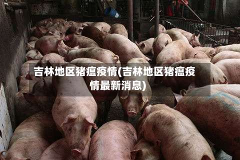 吉林地区猪瘟疫情(吉林地区猪瘟疫情最新消息)-第1张图片