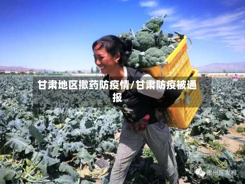 甘肃地区撒药防疫情/甘肃防疫被通报-第2张图片