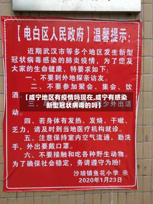 【咸宁地区有疫情吗现在,咸宁有感染新型冠状病毒的吗】-第3张图片