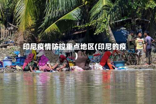 印尼疫情防控重点地区(印尼的疫)-第2张图片