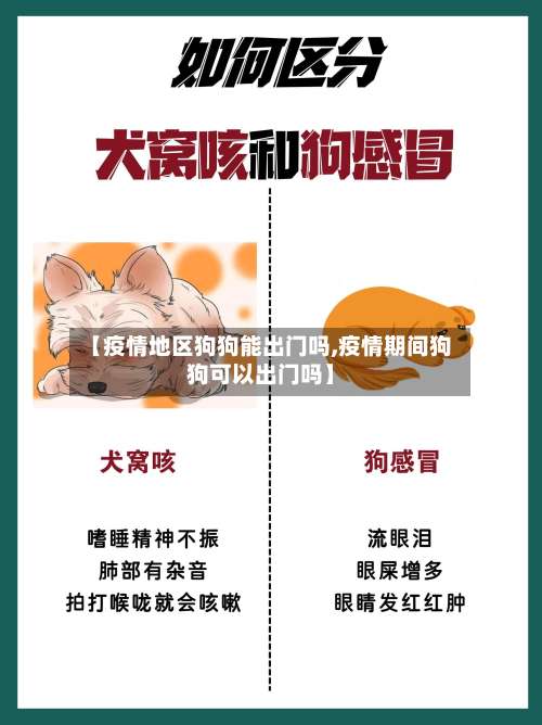 【疫情地区狗狗能出门吗,疫情期间狗狗可以出门吗】-第1张图片