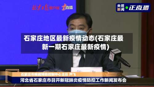 石家庄地区最新疫情动态(石家庄最新一期石家庄最新疫情)-第2张图片
