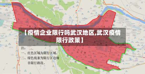 【疫情企业限行吗武汉地区,武汉疫情限行政策】-第2张图片