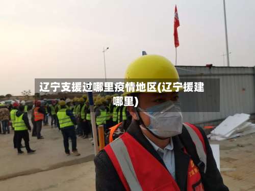 辽宁支援过哪里疫情地区(辽宁援建哪里)-第2张图片