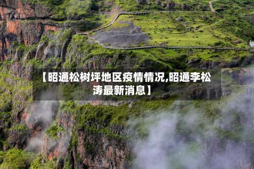 【昭通松树坪地区疫情情况,昭通李松涛最新消息】-第2张图片