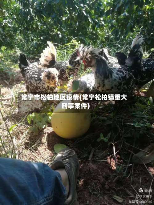 常宁市松柏地区疫情(常宁松柏镇重大刑事案件)-第2张图片