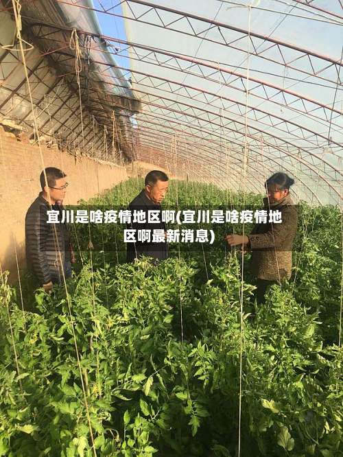 宜川是啥疫情地区啊(宜川是啥疫情地区啊最新消息)-第2张图片